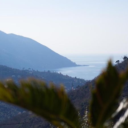 Villa Le Macine Molino Nuovo  Buitenkant foto