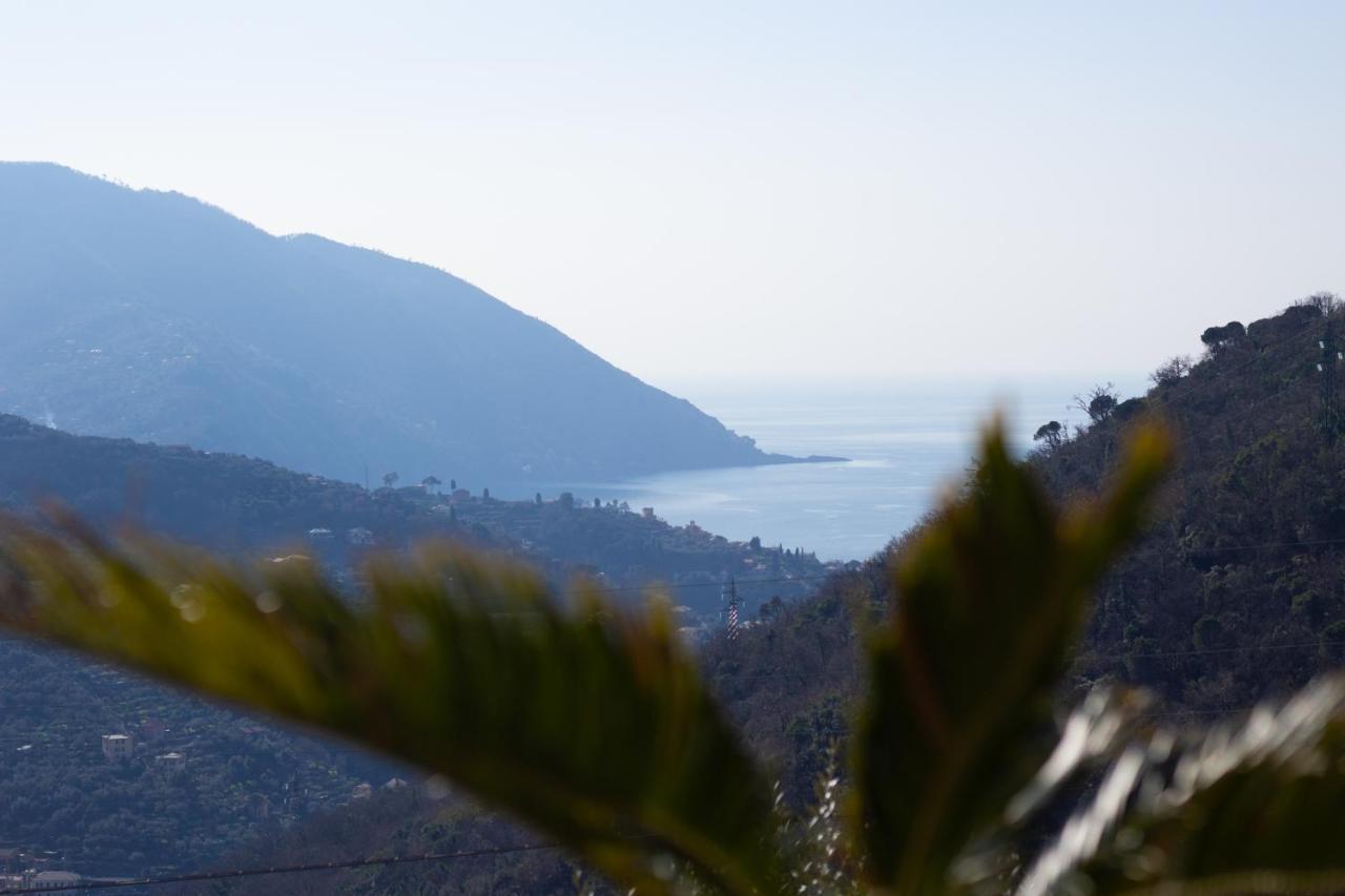 Villa Le Macine Molino Nuovo  Buitenkant foto